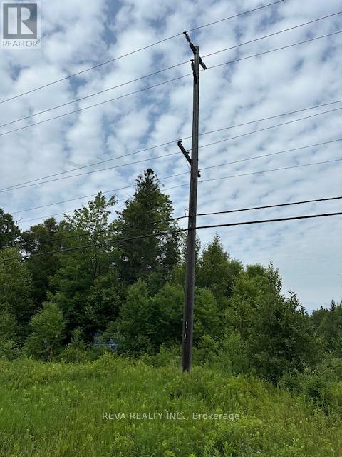 00 Highway 62 N, Hastings Highlands (Monteagle Ward), Ontario  K0L 2S0 - Photo 16 - X12285932