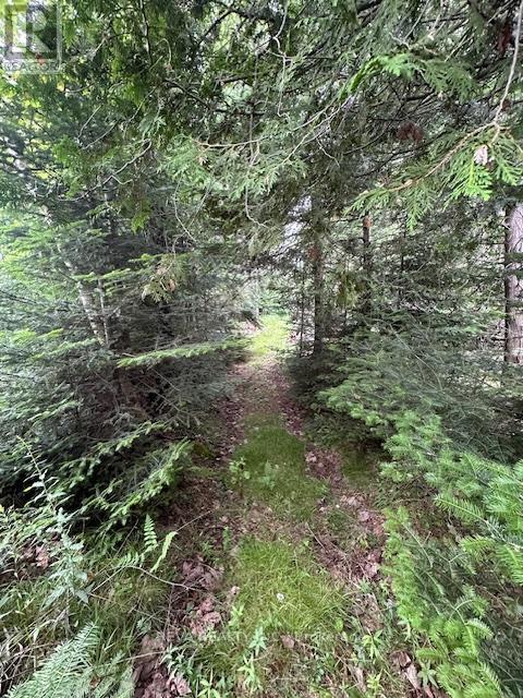 00 Highway 62 N, Hastings Highlands (Monteagle Ward), Ontario  K0L 2S0 - Photo 17 - X12285932