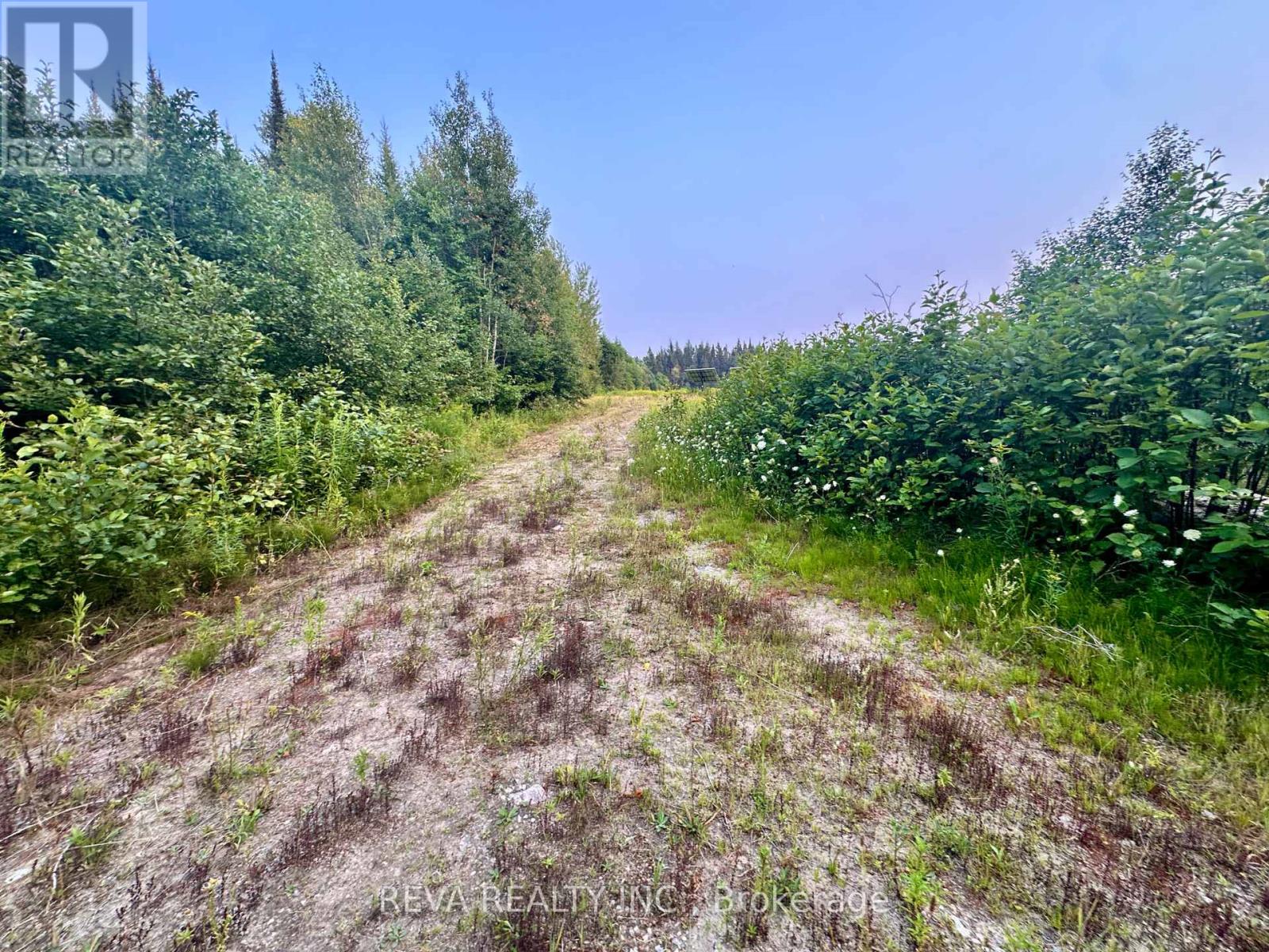 00 Highway 62 N, Hastings Highlands (Monteagle Ward), Ontario  K0L 2S0 - Photo 4 - X12285932
