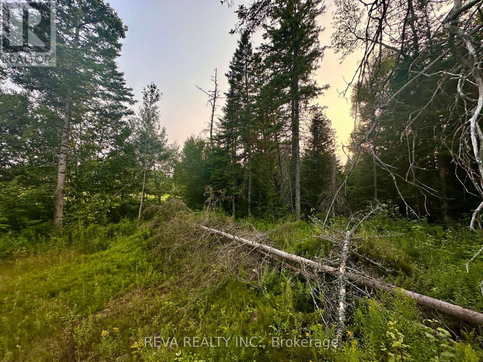 00 Highway 62 N, Hastings Highlands (Monteagle Ward), Ontario  K0L 2S0 - Photo 5 - X12285932