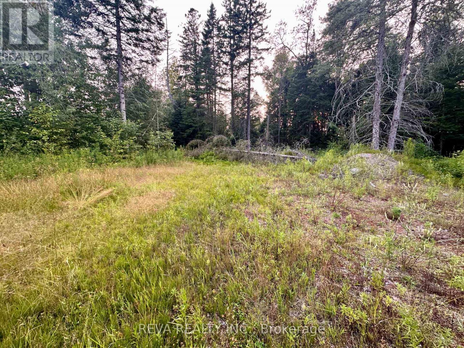 00 Highway 62 N, Hastings Highlands (Monteagle Ward), Ontario  K0L 2S0 - Photo 7 - X12285932