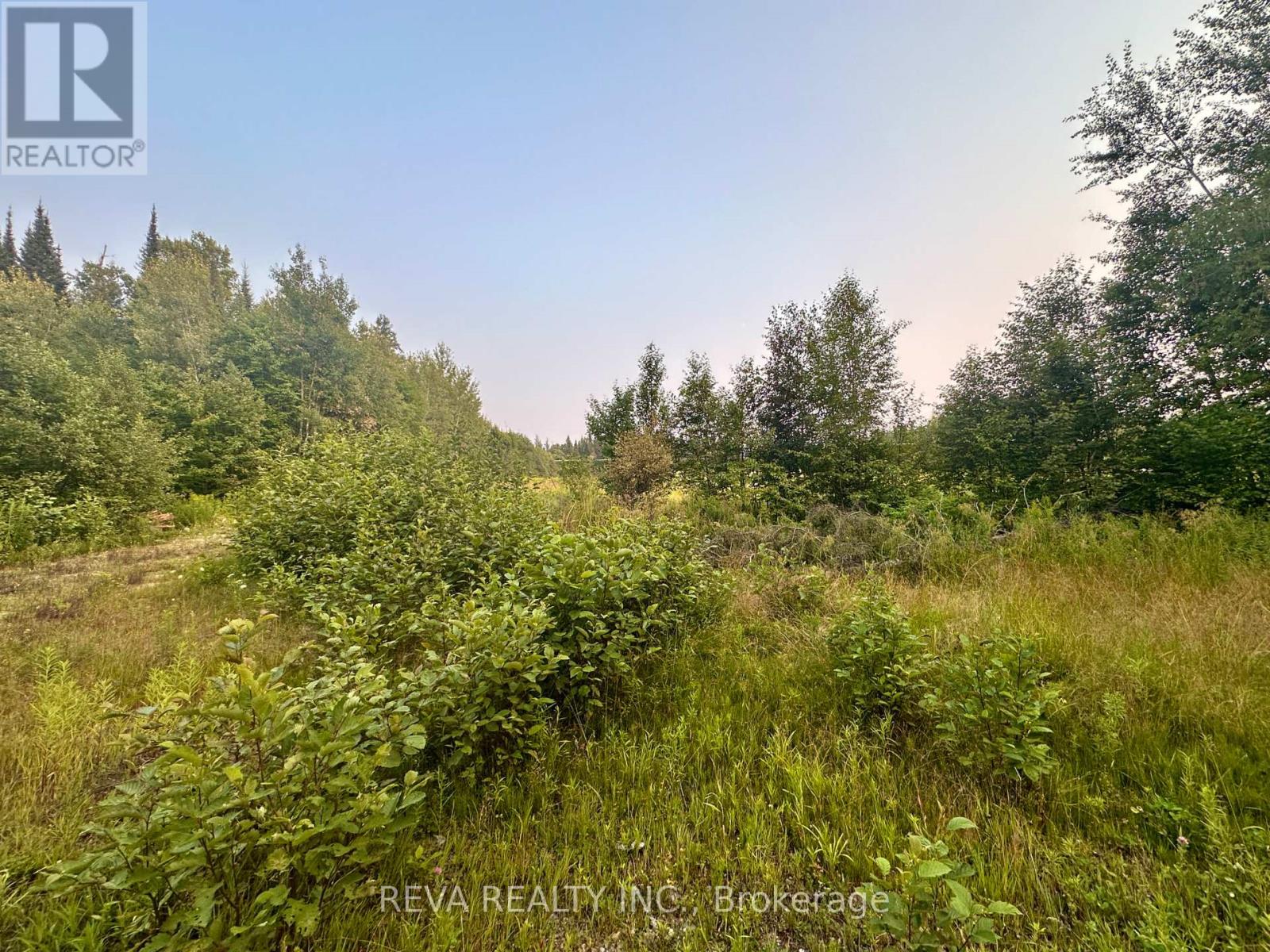 00 Highway 62 N, Hastings Highlands (Monteagle Ward), Ontario  K0L 2S0 - Photo 8 - X12285932