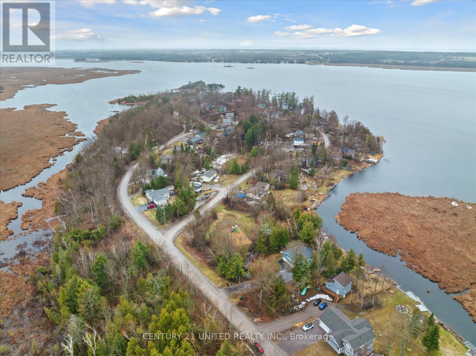 52 Birch Point Drive, Kawartha Lakes (Emily), Ontario  K0L 1T0 - Photo 47 - X12286781