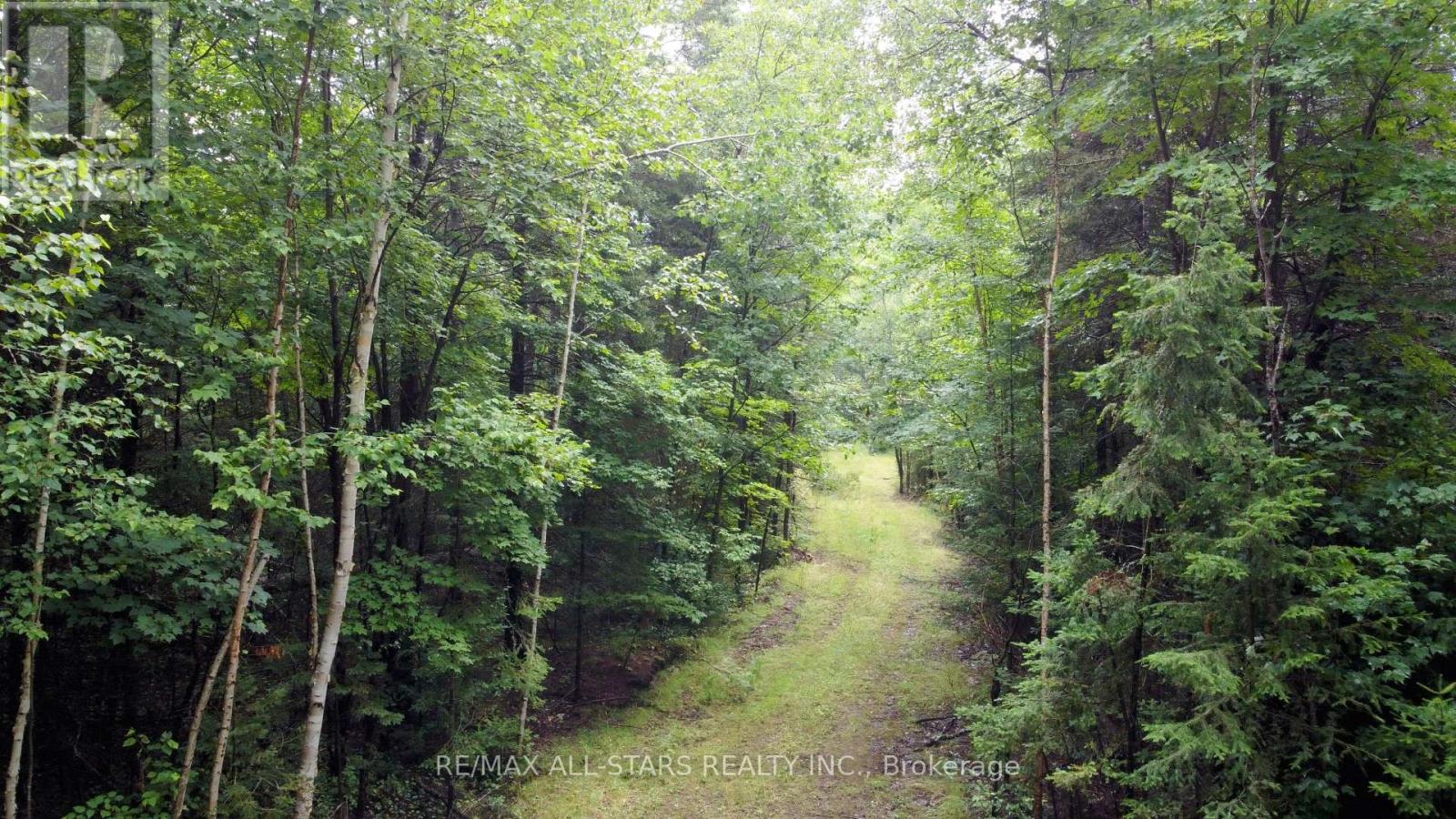0 Penzance Trail, Highlands East (Monmouth), Ontario  K0L 2V0 - Photo 10 - X12287651