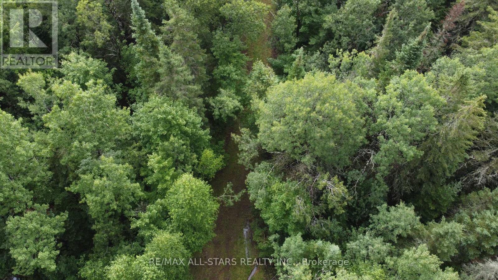0 Penzance Trail, Highlands East (Monmouth), Ontario  K0L 2V0 - Photo 11 - X12287651