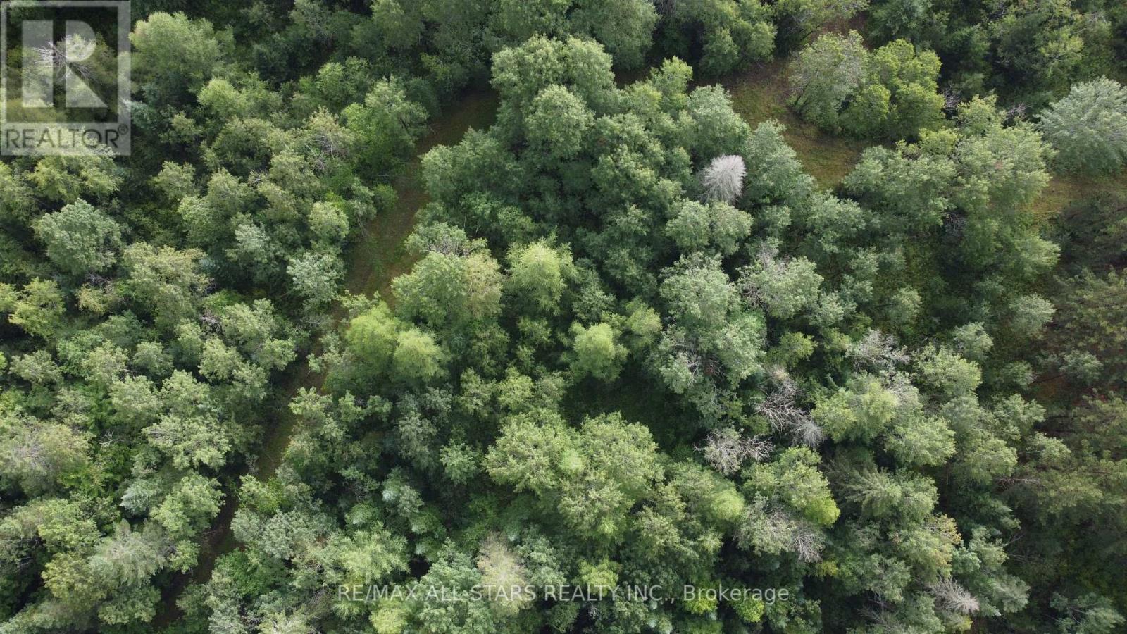 0 Penzance Trail, Highlands East (Monmouth), Ontario  K0L 2V0 - Photo 12 - X12287651
