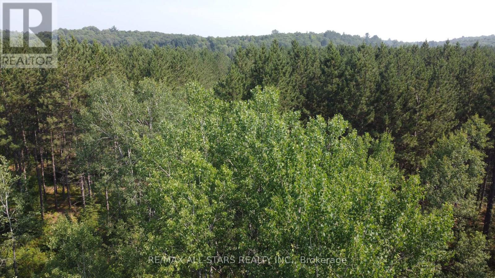 0 Penzance Trail, Highlands East (Monmouth), Ontario  K0L 2V0 - Photo 15 - X12287651