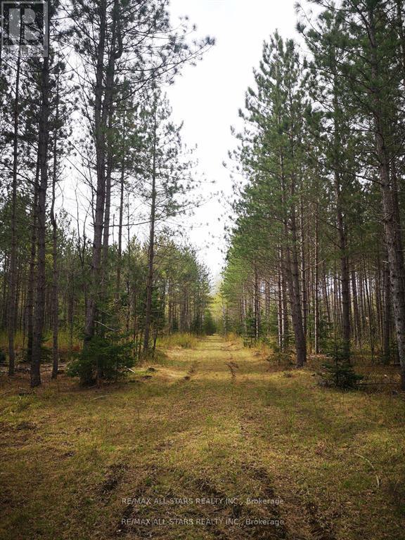 0 Penzance Trail, Highlands East (Monmouth), Ontario  K0L 2V0 - Photo 3 - X12287651