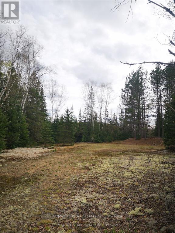 0 Penzance Trail, Highlands East (Monmouth), Ontario  K0L 2V0 - Photo 4 - X12287651