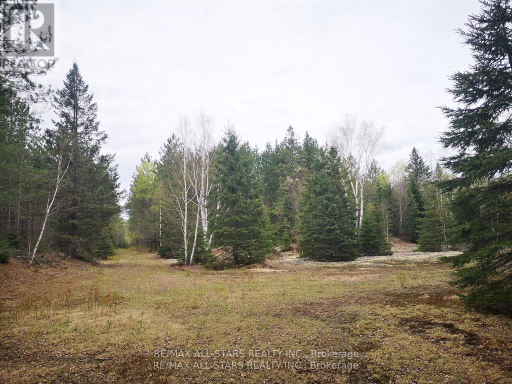 0 Penzance Trail, Highlands East (Monmouth), Ontario  K0L 2V0 - Photo 5 - X12287651