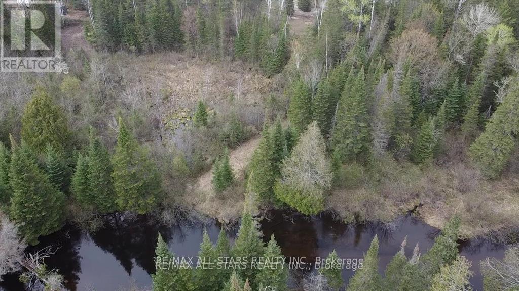 0 Penzance Trail, Highlands East (Monmouth), Ontario  K0L 2V0 - Photo 6 - X12287651