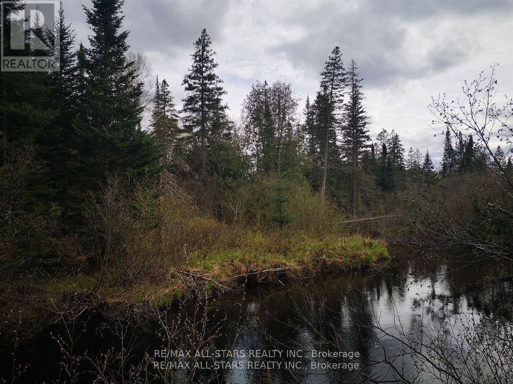0 Penzance Trail, Highlands East (Monmouth), Ontario  K0L 2V0 - Photo 7 - X12287651