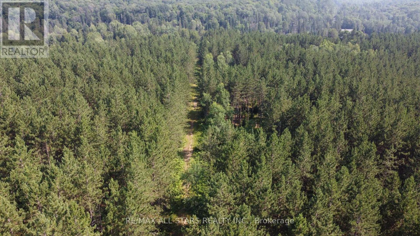0 Penzance Trail, Highlands East (Monmouth), Ontario  K0L 2V0 - Photo 9 - X12287651