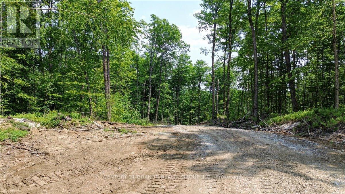 0 Airport Road, Highlands East (Cardiff Ward), Ontario  K0L 1C0 - Photo 19 - X12287995