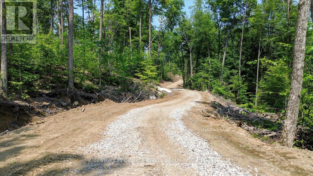 0 Airport Road, Highlands East (Cardiff Ward), Ontario  K0L 1C0 - Photo 22 - X12287995