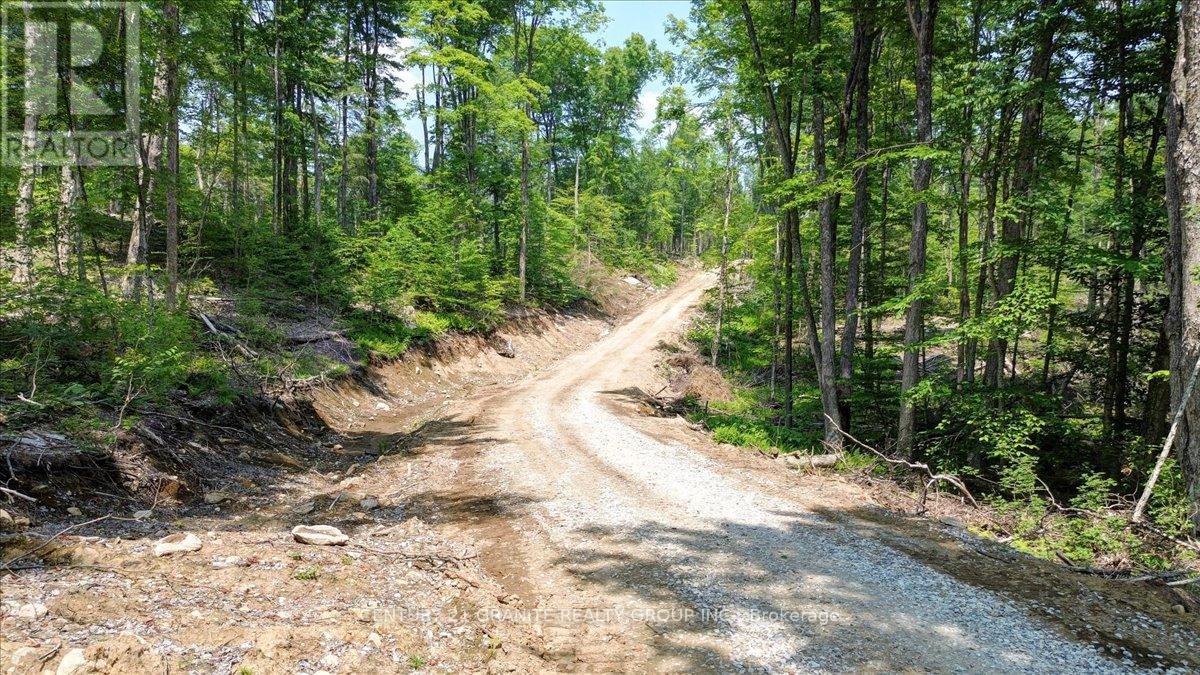 0 Airport Road, Highlands East (Cardiff Ward), Ontario  K0L 1C0 - Photo 23 - X12287995