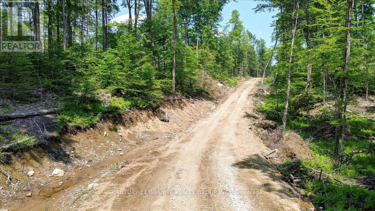 0 Airport Road, Highlands East (Cardiff Ward), Ontario  K0L 1C0 - Photo 24 - X12287995