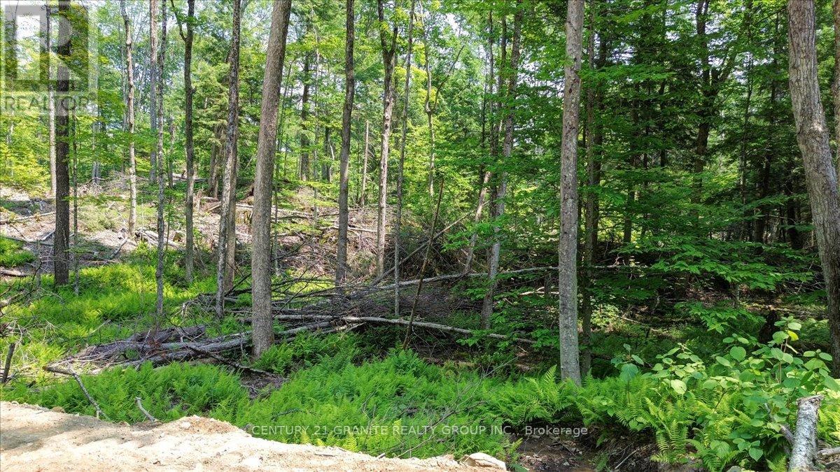 0 Airport Road, Highlands East (Cardiff Ward), Ontario  K0L 1C0 - Photo 25 - X12287995