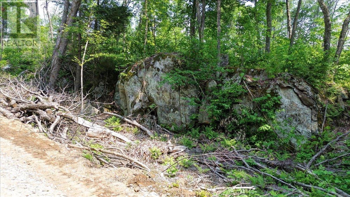 0 Airport Road, Highlands East (Cardiff Ward), Ontario  K0L 1C0 - Photo 26 - X12287995