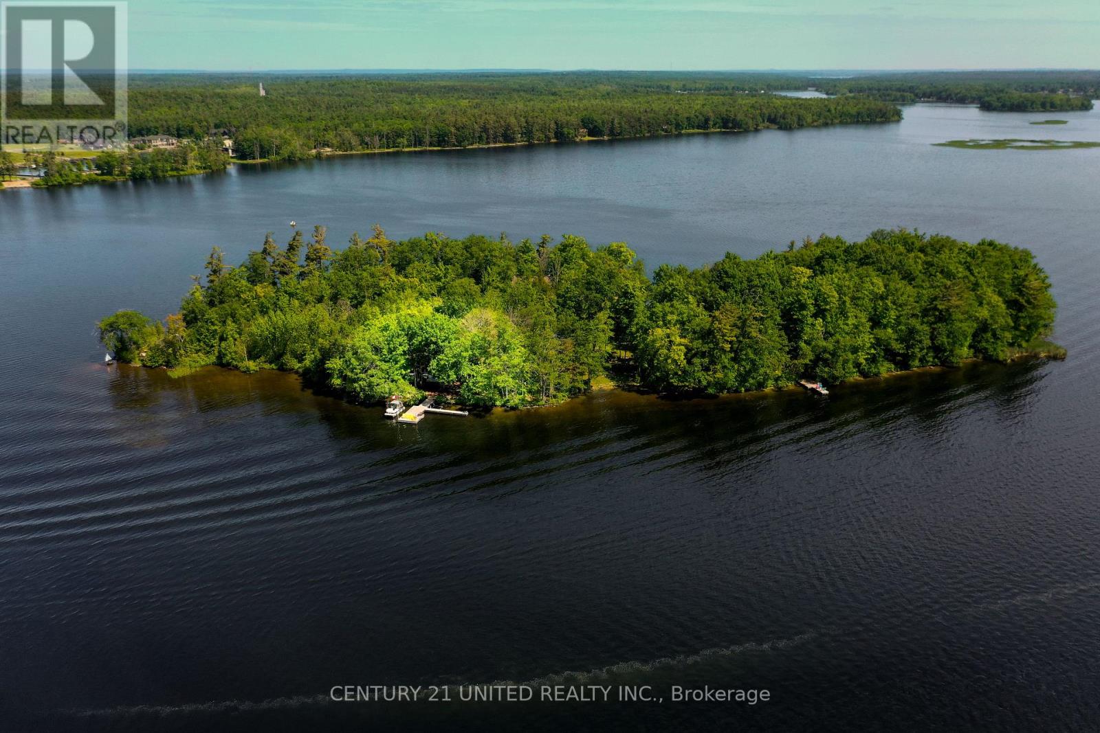 7004 Island 70, Trent Lakes, Ontario  K0L 1T0 - Photo 7 - X12288087