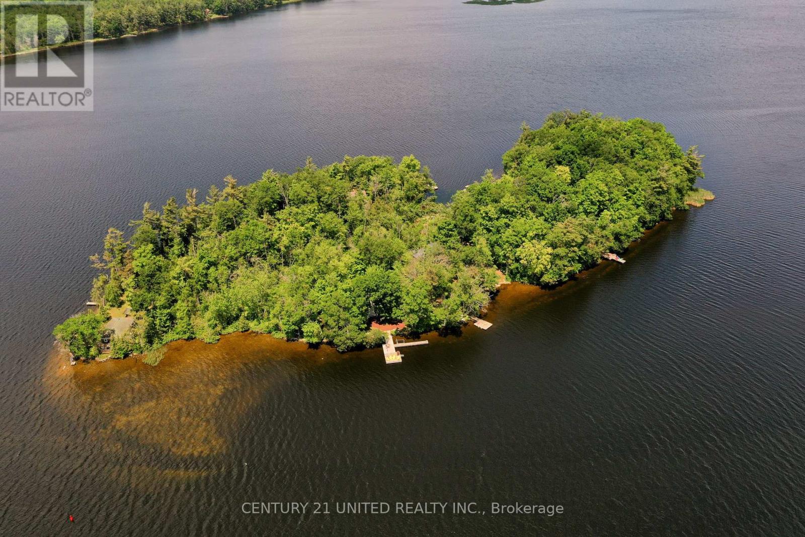 7004 Island 70, Trent Lakes, Ontario  K0L 1T0 - Photo 8 - X12288087
