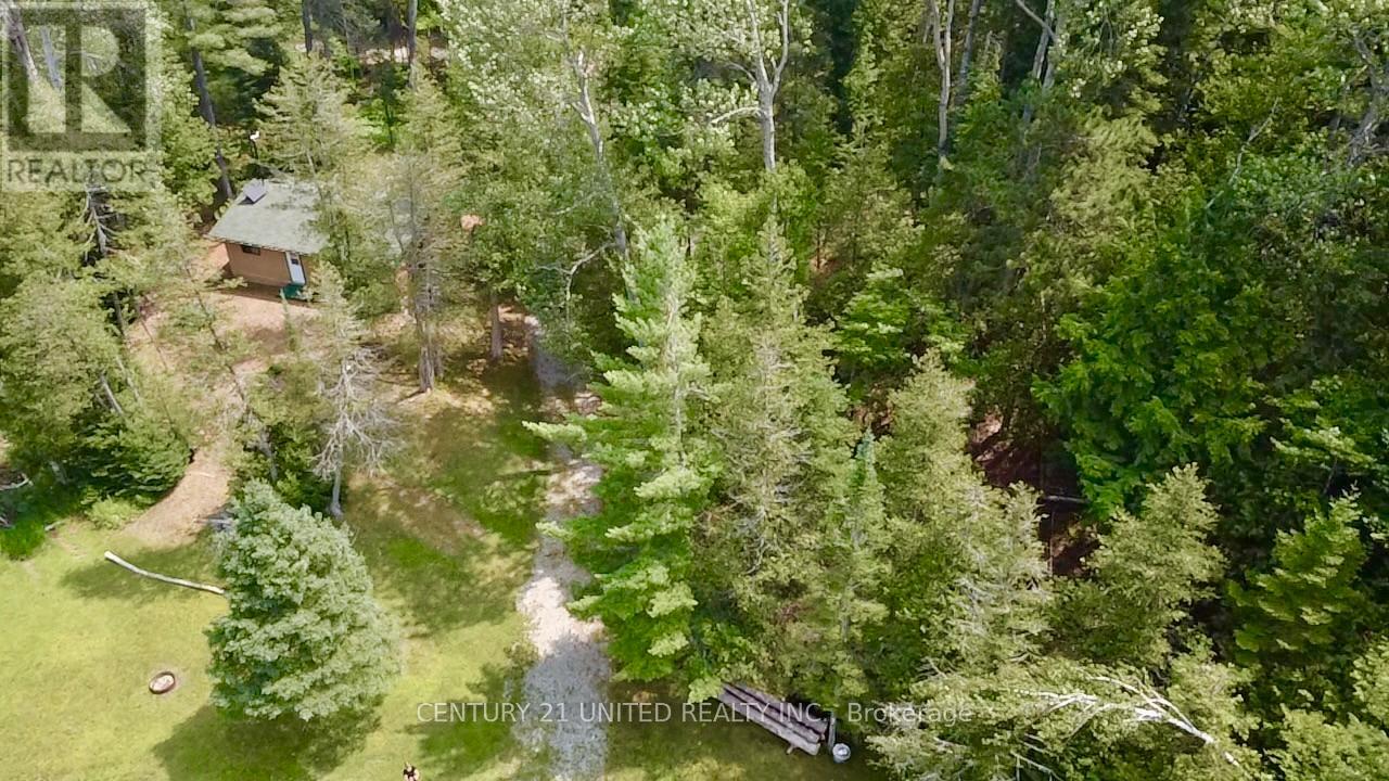 16 Fire Route 311, Trent Lakes, Ontario  K0L 1J0 - Photo 16 - X12289279