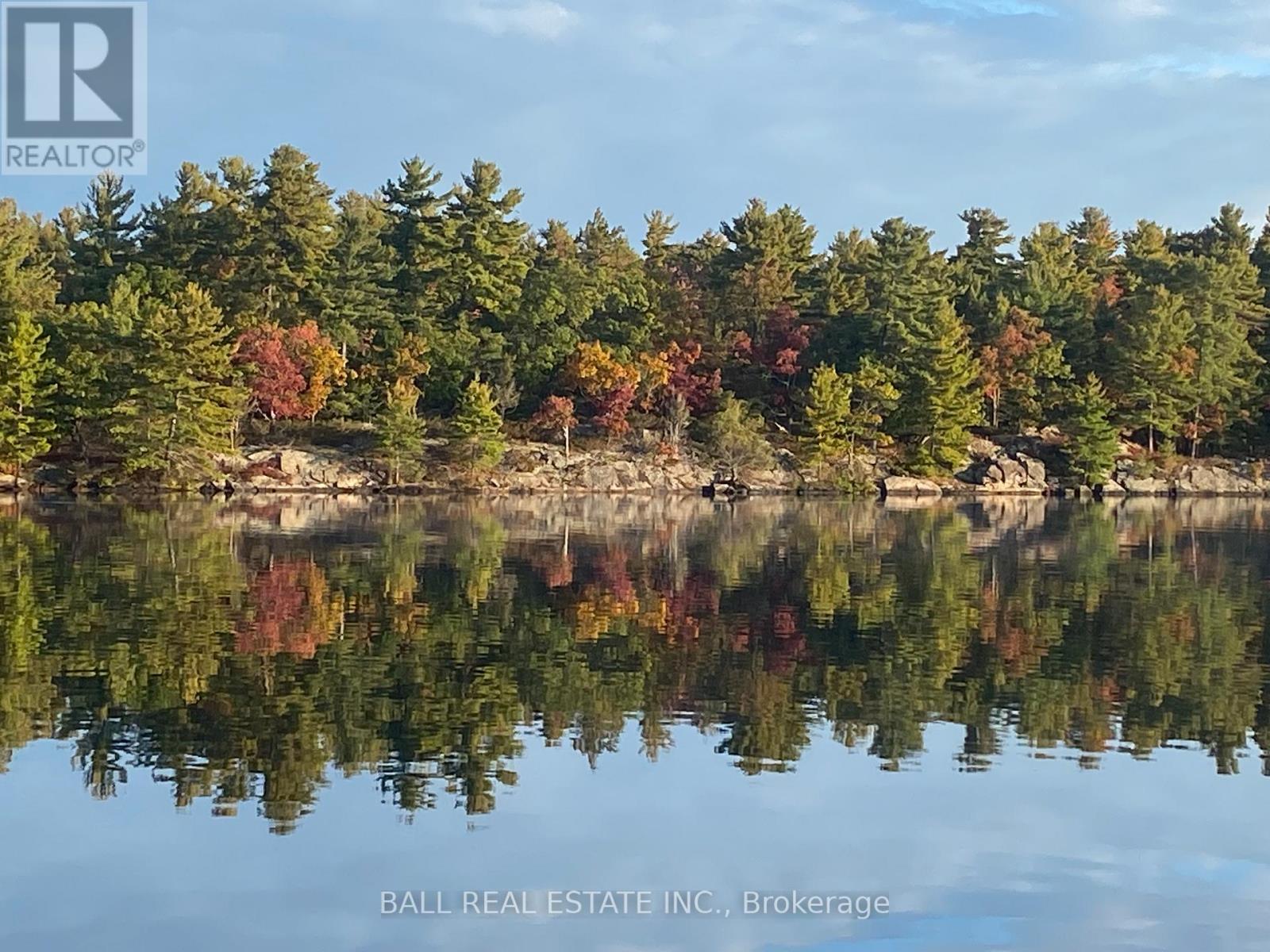 2429 Julia Shore Road W, Douro-Dummer, Ontario  K0L 2H0 - Photo 16 - X12289360