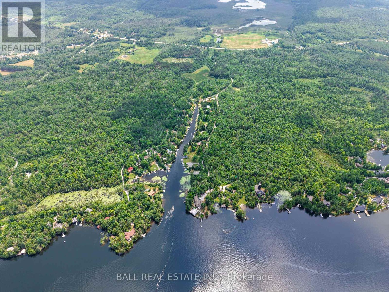 2429 Julia Shore Road W, Douro-Dummer, Ontario  K0L 2H0 - Photo 8 - X12289360