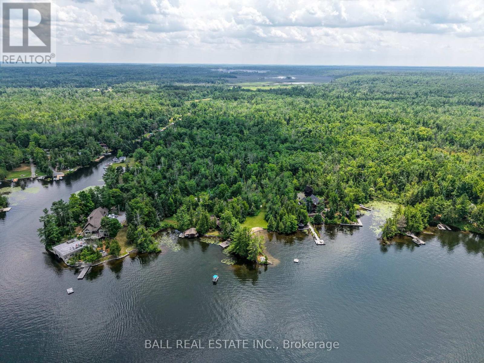 2429 Julia Shore Road W, Douro-Dummer, Ontario  K0L 2H0 - Photo 9 - X12289360