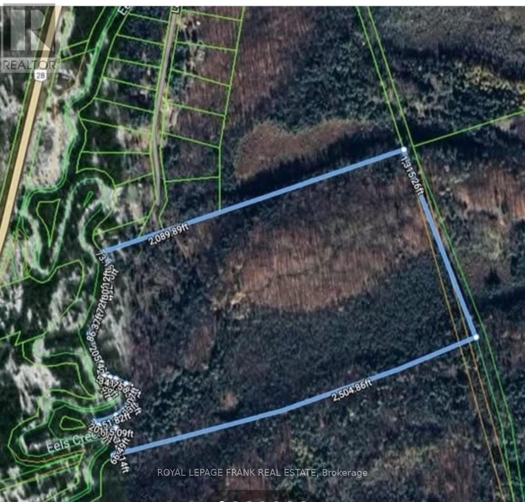 173 Lean Drive, North Kawartha, Ontario  K0L 1A0 - Photo 1 - X12290226