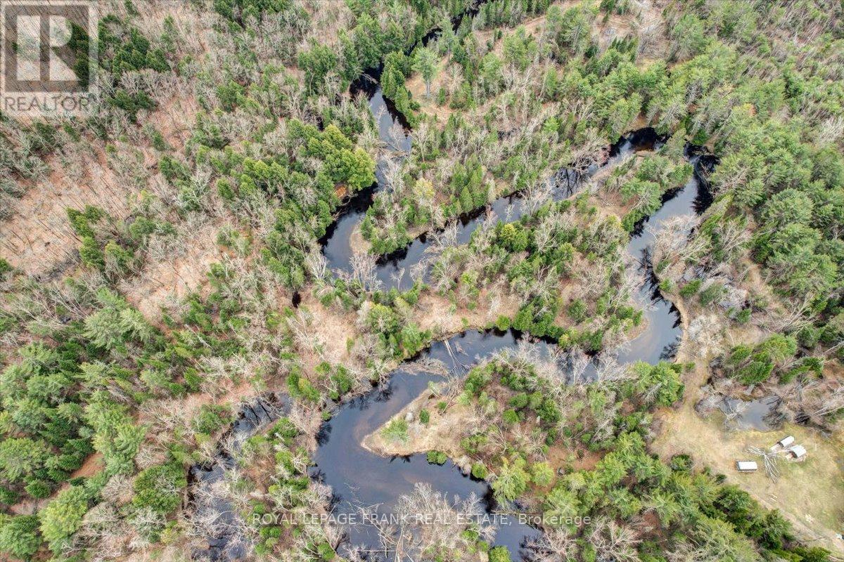 173 Lean Drive, North Kawartha, Ontario  K0L 1A0 - Photo 2 - X12290226
