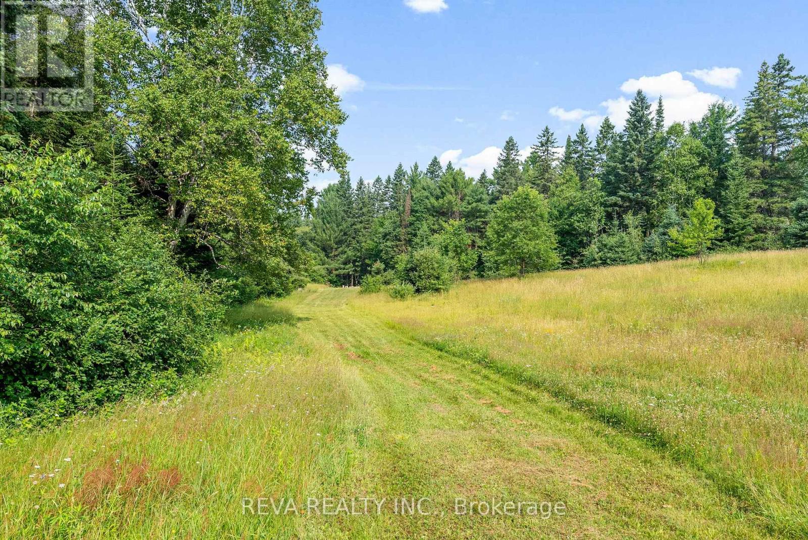 107 Frantz Road, Hastings Highlands (Wicklow Ward), Ontario  K0L 2S0 - Photo 41 - X12291198