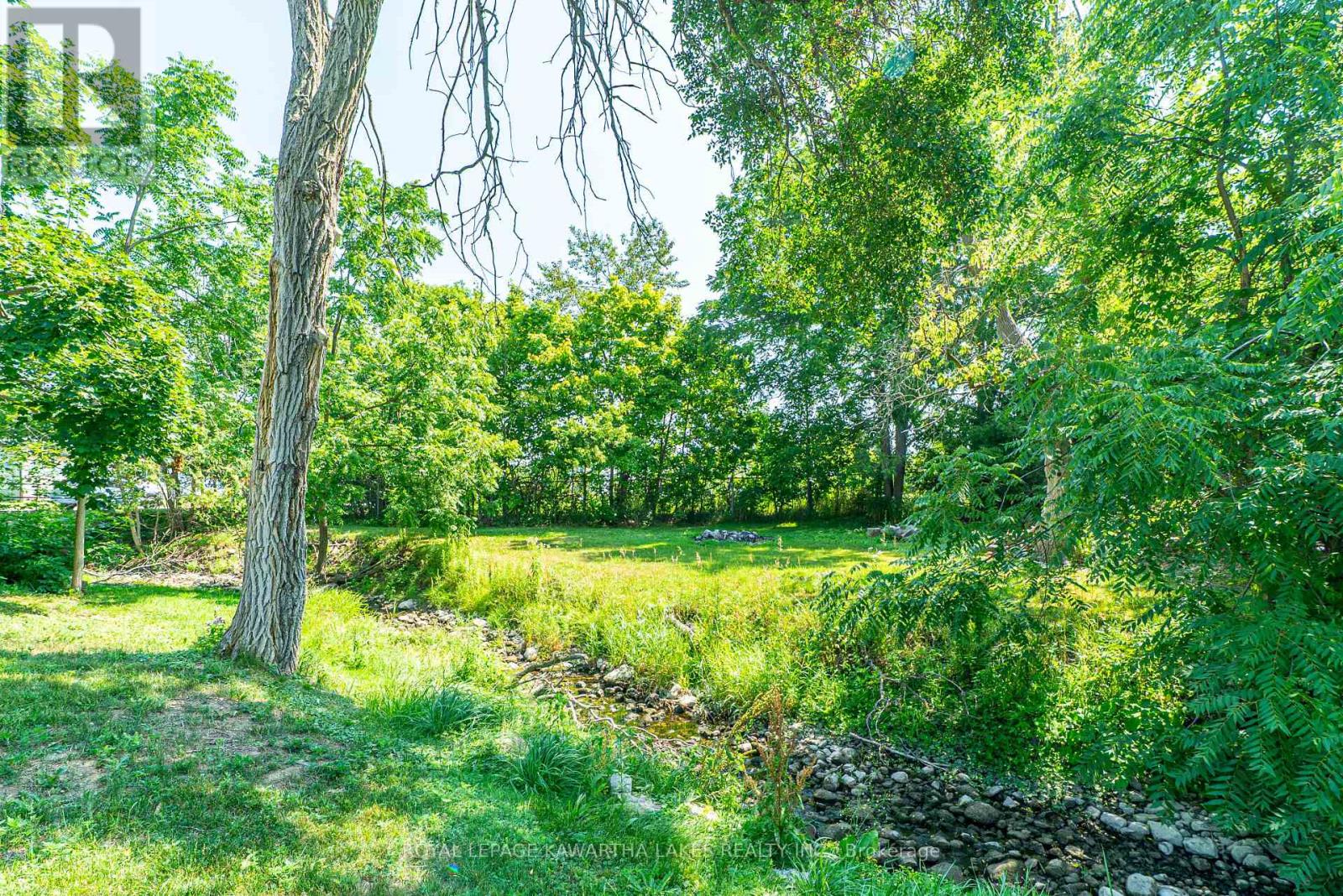 50 St Patrick Street, Kawartha Lakes (Lindsay), Ontario  K9V 1R3 - Photo 28 - X12291245