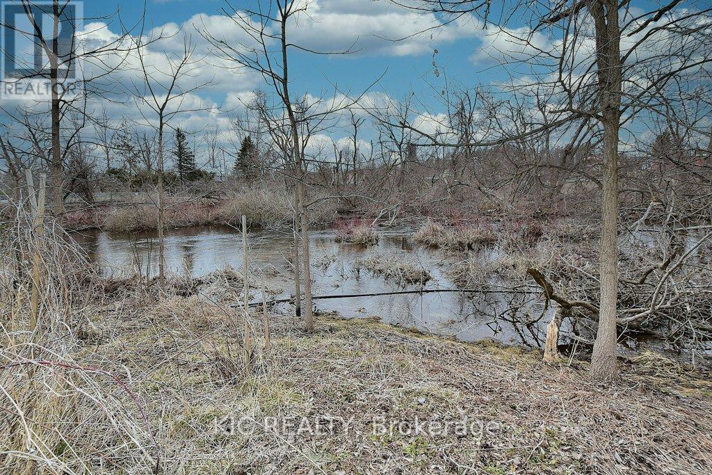 46 Queen Street, Asphodel-Norwood (Norwood), Ontario  K0L 2V0 - Photo 36 - X12292698