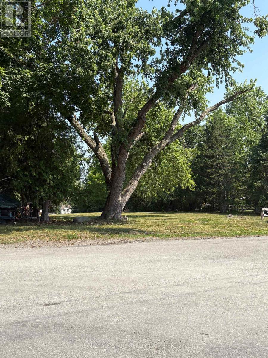 309 Kenrei Road, Kawartha Lakes (Lindsay), Ontario  K9V 4R1 - Photo 4 - X12293167