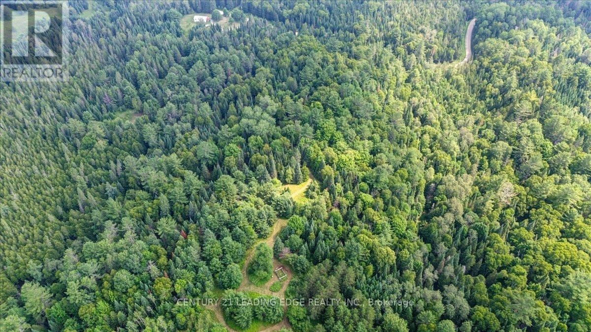 281 Crawford Road, Bancroft (Dungannon Ward), Ontario  K0L 2L0 - Photo 35 - X12293197