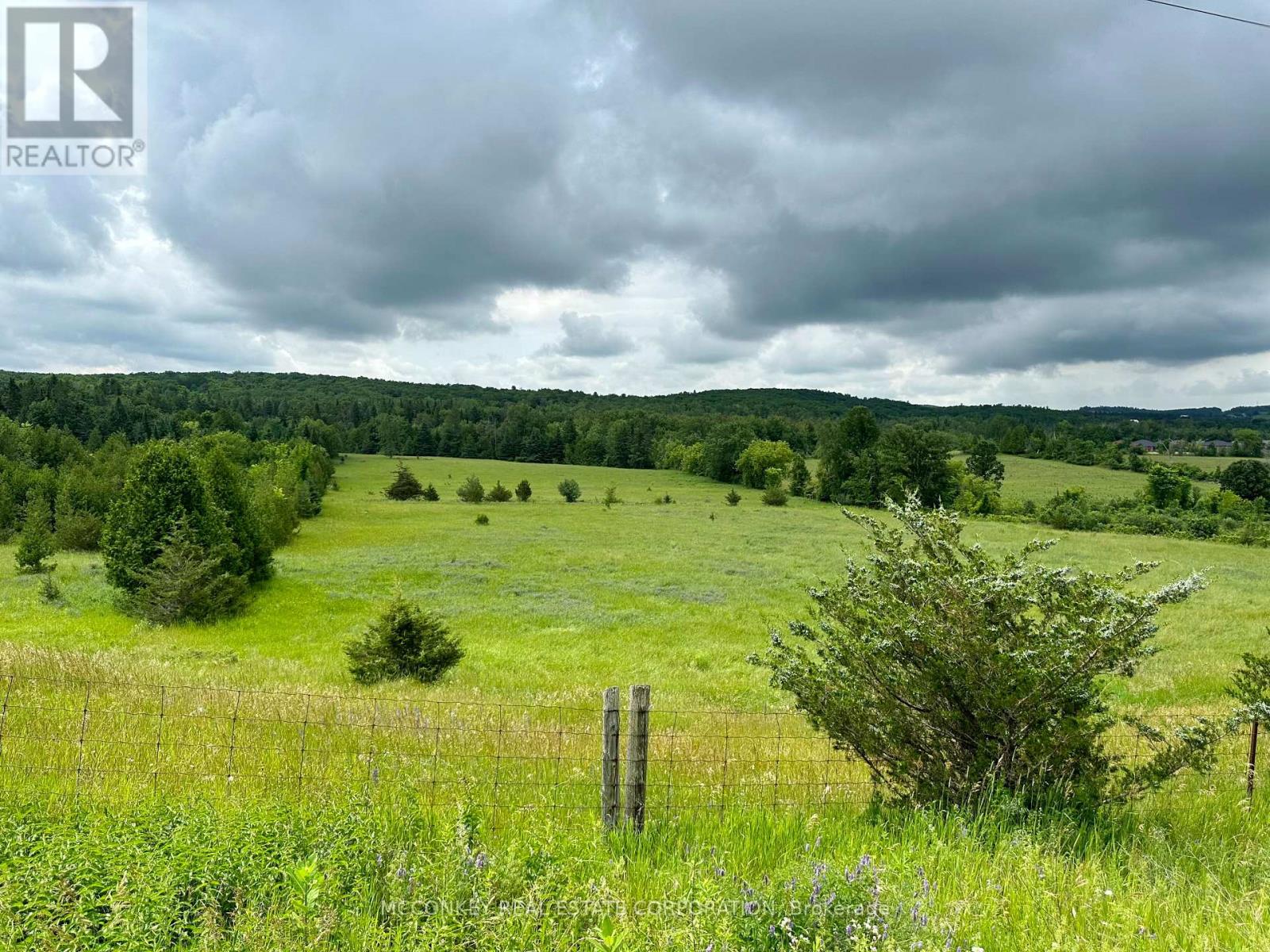 227 Concession Road 13 E, Trent Hills, Ontario  K0L 1Y0 - Photo 26 - X12293821