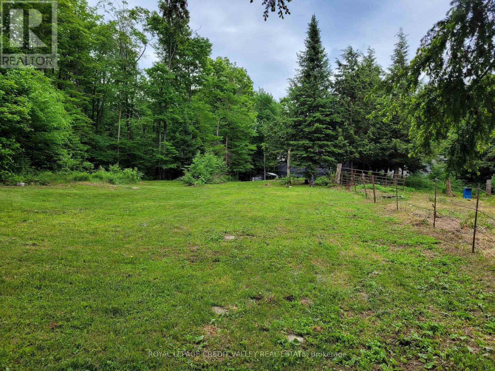 246 Hickey Trail, Hastings Highlands (Herschel Ward), Ontario  K0L 1C0 - Photo 13 - X12295743