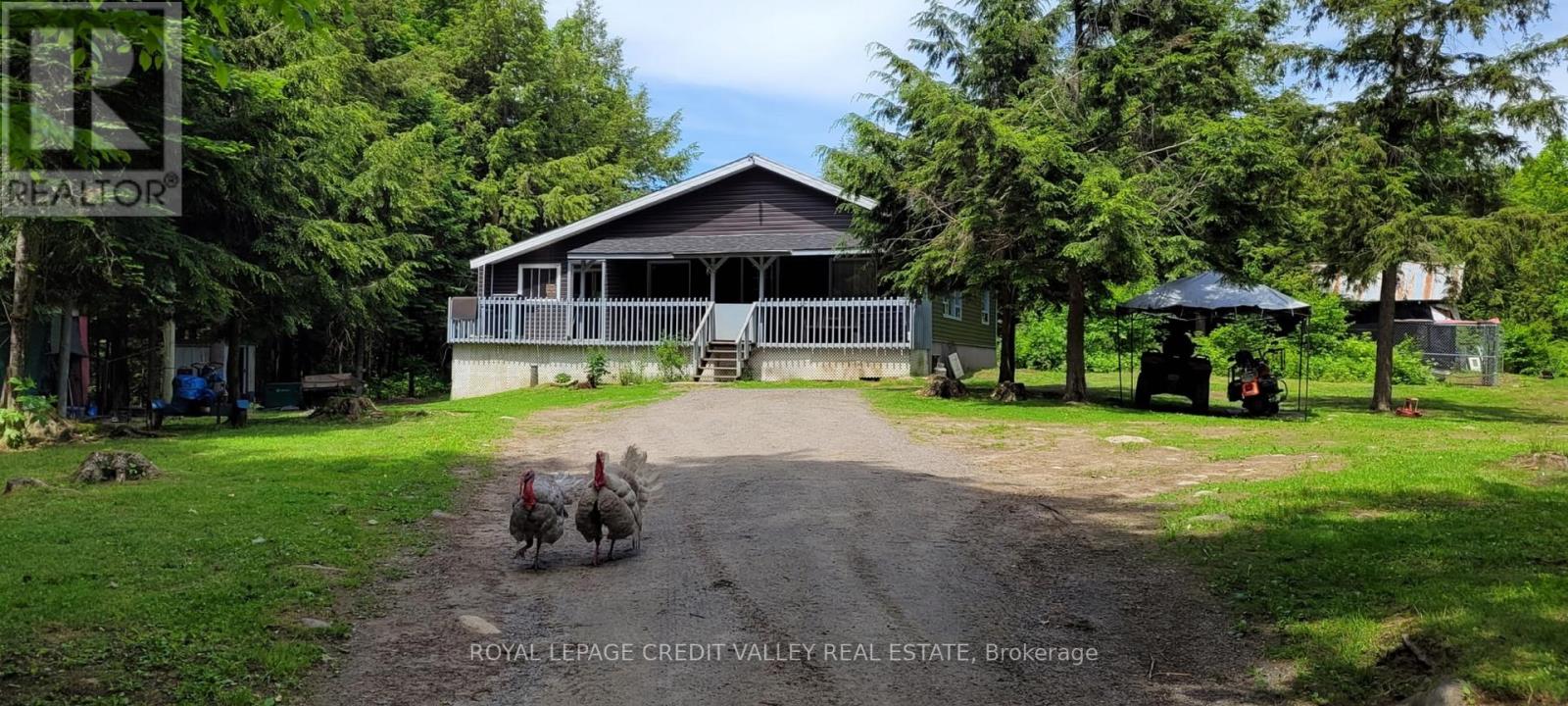 246 Hickey Trail, Hastings Highlands (Herschel Ward), Ontario  K0L 1C0 - Photo 14 - X12295743