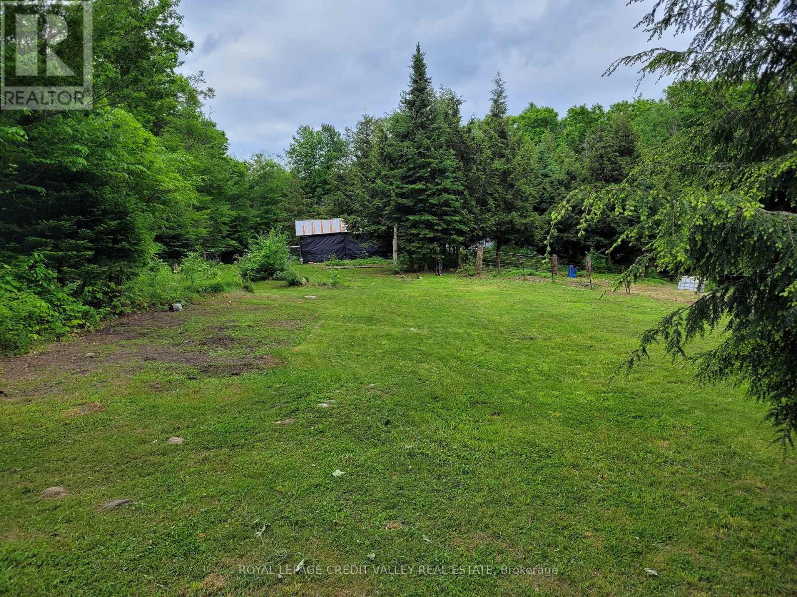 246 Hickey Trail, Hastings Highlands (Herschel Ward), Ontario  K0L 1C0 - Photo 15 - X12295743