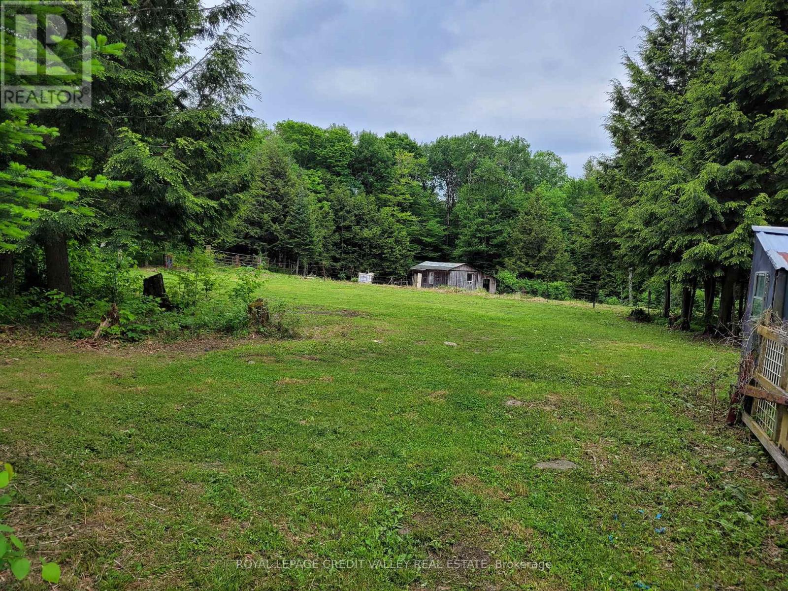 246 Hickey Trail, Hastings Highlands (Herschel Ward), Ontario  K0L 1C0 - Photo 16 - X12295743