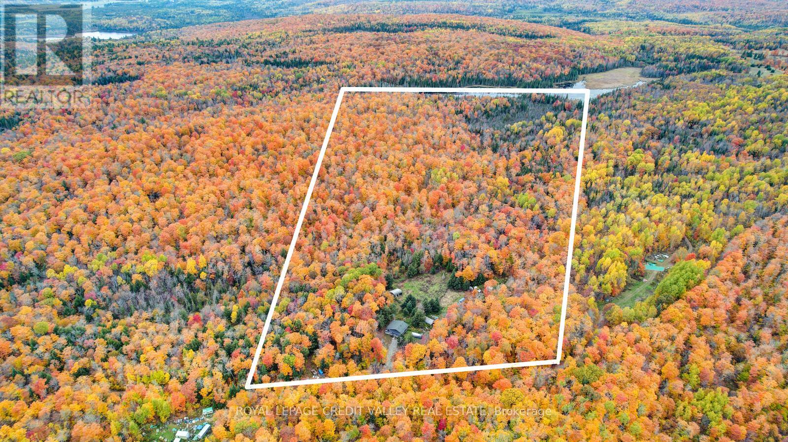 246 Hickey Trail, Hastings Highlands (Herschel Ward), Ontario  K0L 1C0 - Photo 21 - X12295743