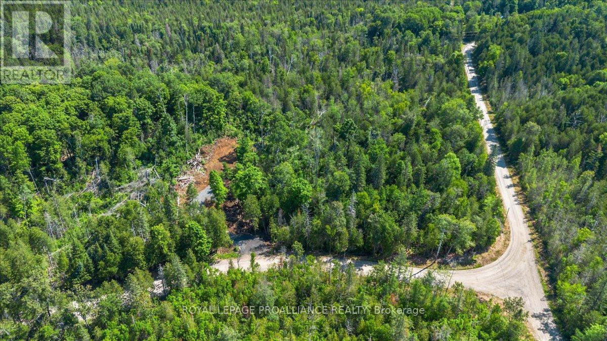284 Limerick Lake Road, Tudor & Cashel, Ontario  K0L 1W0 - Photo 13 - X12298403