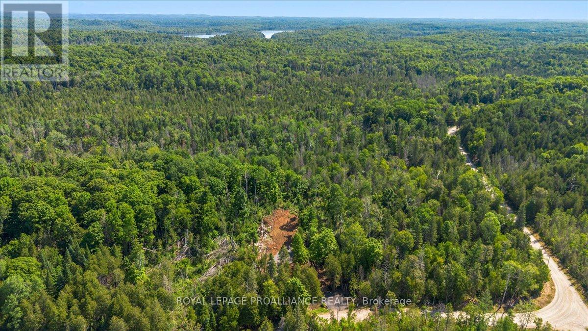 284 Limerick Lake Road, Tudor & Cashel, Ontario  K0L 1W0 - Photo 14 - X12298403