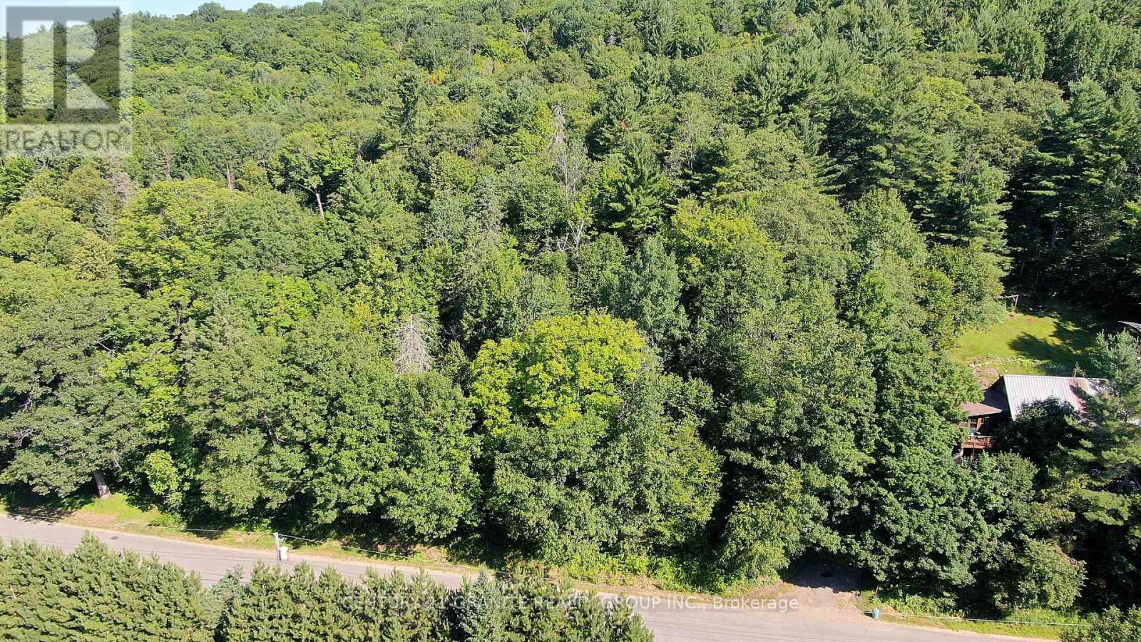 0 Maxwell Settlement Road, Bancroft (Bancroft Ward), Ontario  K0L 1C0 - Photo 4 - X12302714