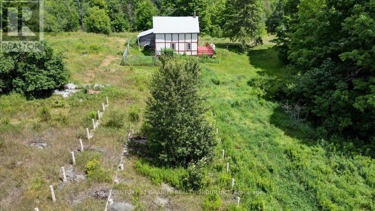 710 Rose Island Road, North Kawartha, Ontario  K0L 1P0 - Photo 34 - X12304245