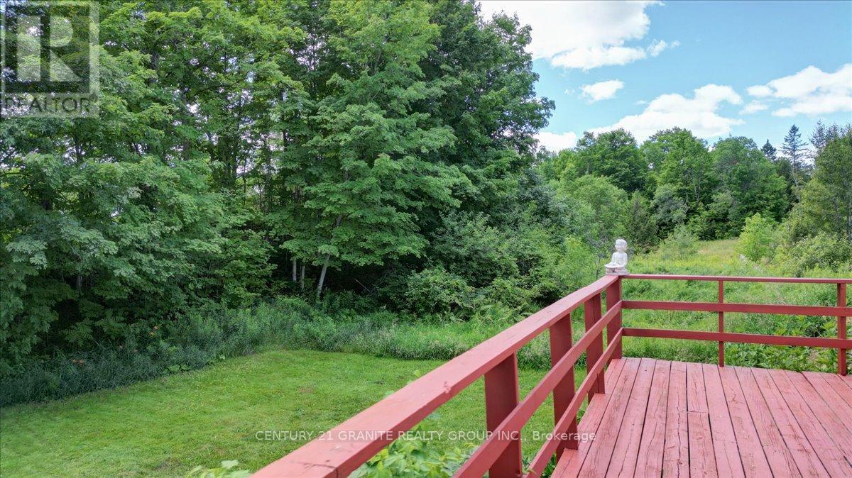 710 Rose Island Road, North Kawartha, Ontario  K0L 1P0 - Photo 40 - X12304245