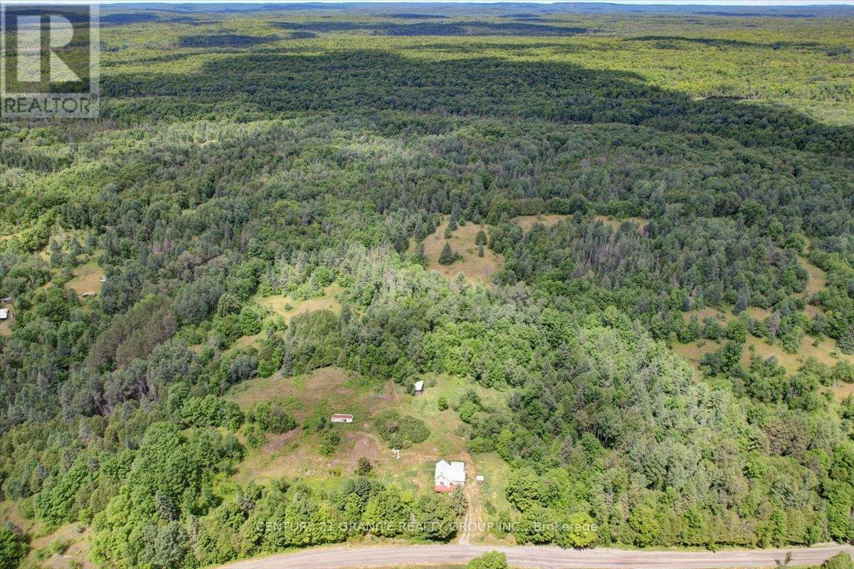 710 Rose Island Road, North Kawartha, Ontario  K0L 1P0 - Photo 41 - X12304245