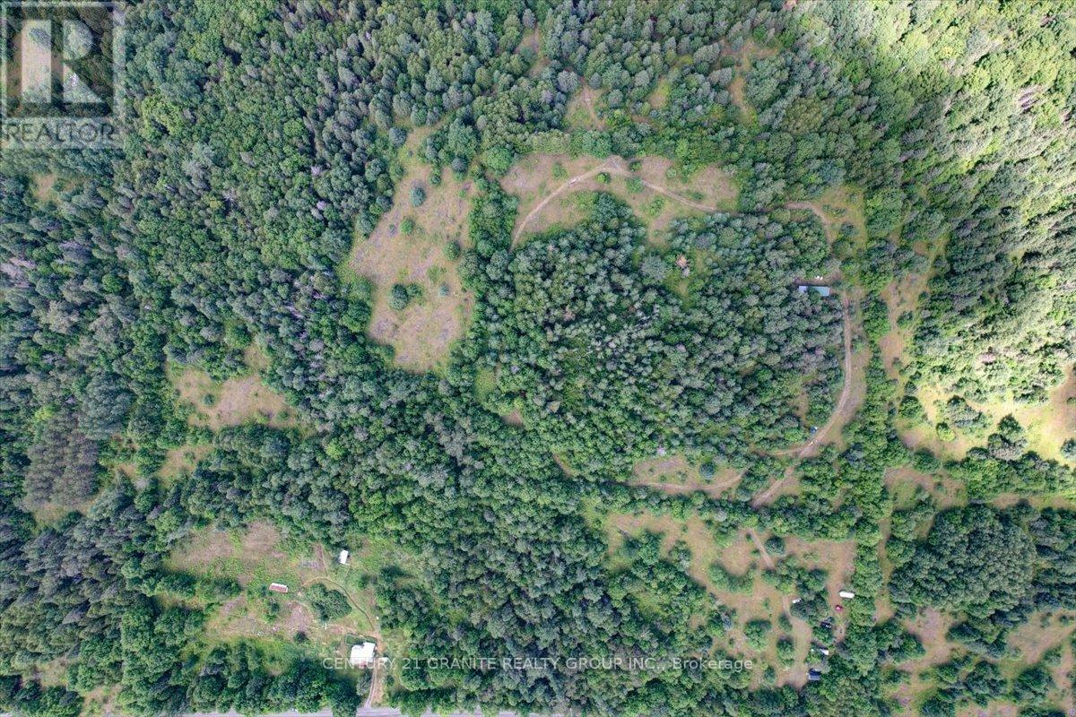 710 Rose Island Road, North Kawartha, Ontario  K0L 1P0 - Photo 42 - X12304245
