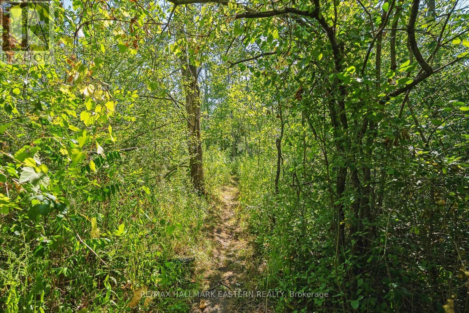 35 Summer Lane, Selwyn, Ontario  K9L 1K1 - Photo 36 - X12304373